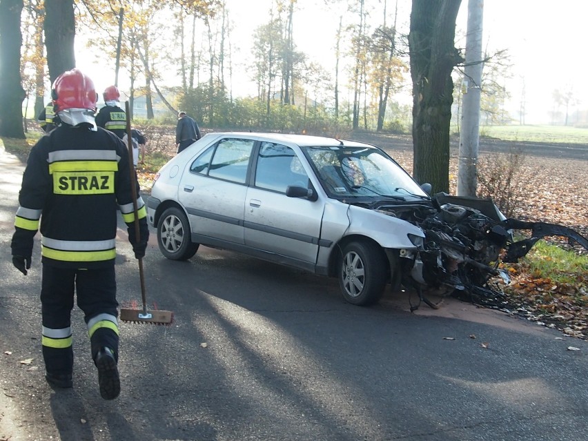 Paproć. Peugeotem w drzewo