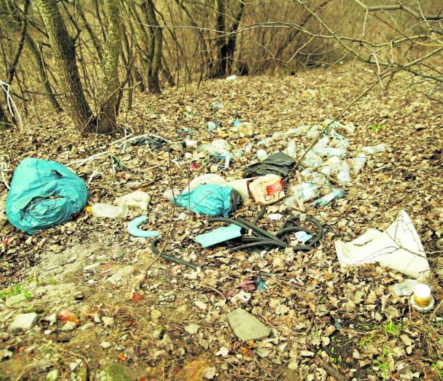 W ub.r. w Gdyni wywieziono 530 ton śmieci z dzikich wysypisk