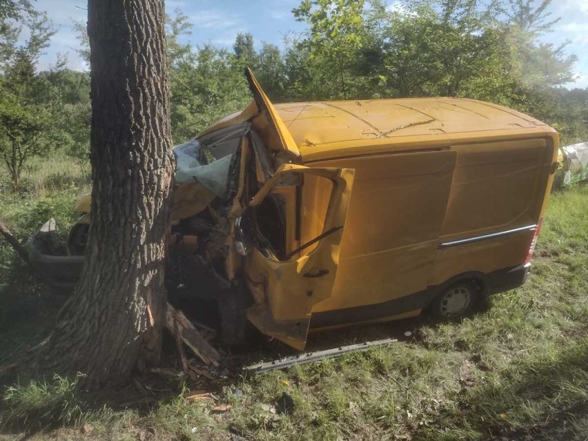 kierowca busa uderzył w drzewo
