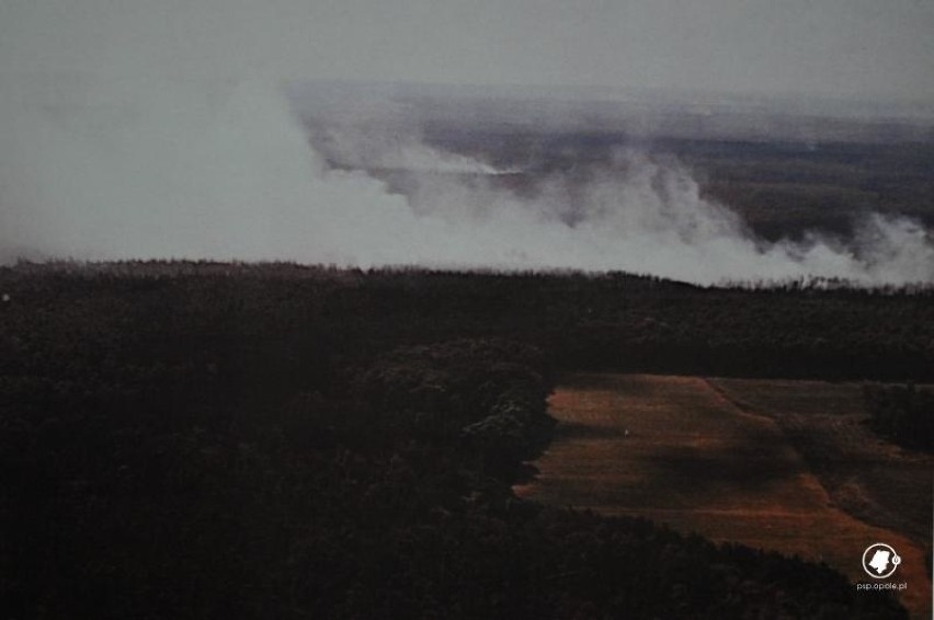 Pożar lasu w okolicach Kuźni Raciborskiej 1992. Zdjęcia...