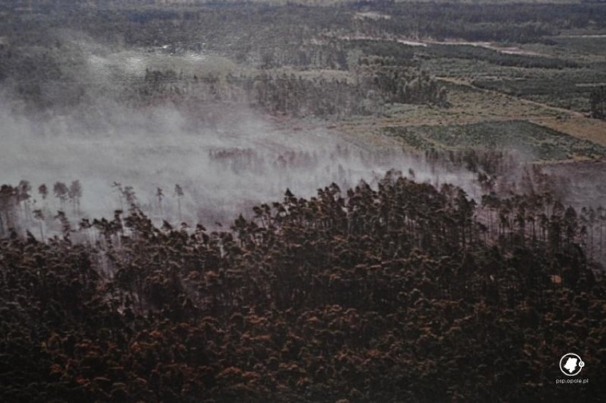 Pożar lasu w okolicach Kuźni Raciborskiej 1992. Zdjęcia...