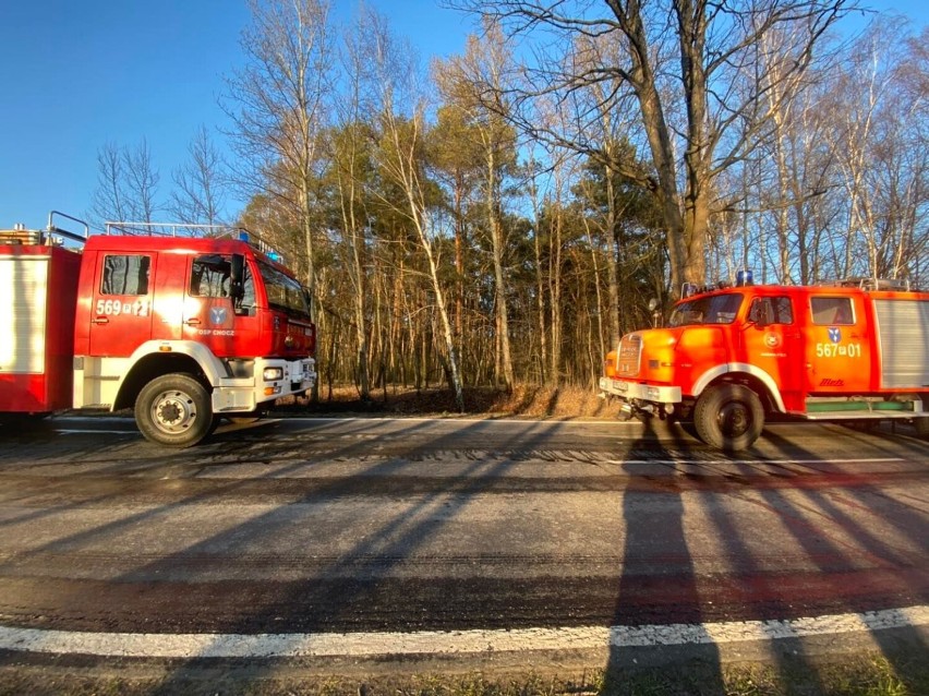 W poniedziałek doszło do pożaru trawy w przydrożnym rowie w miejscowości Stary Olesiec