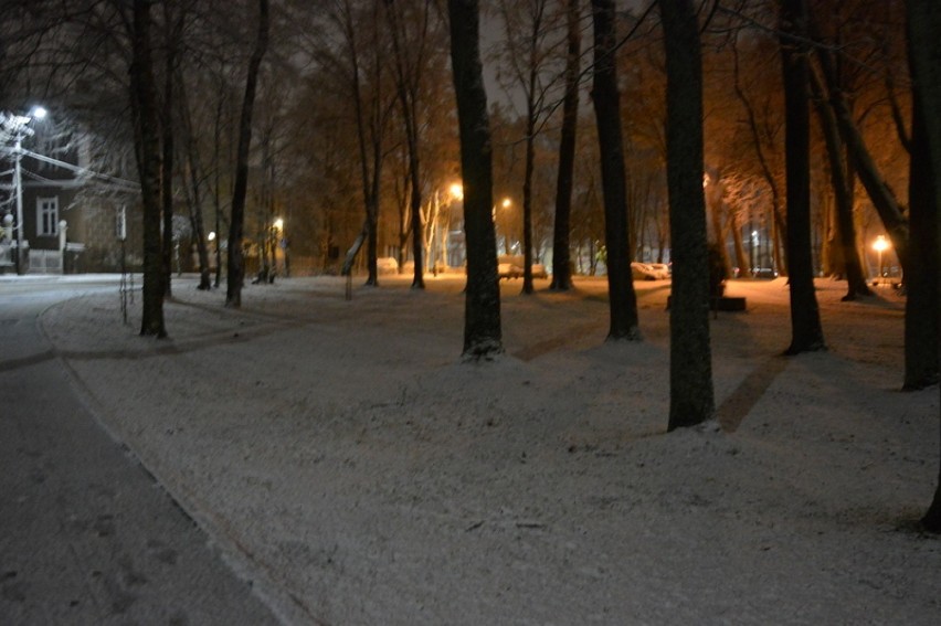 Pierwszy śnieg w Kartuzach spadł 11.11.2017 - mądrość ludowa wróży śnieżną zimę ZDJĘCIA