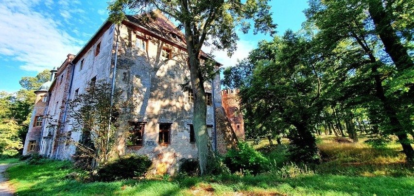 Zamek w Broniszowie, sierpień 2020 r.