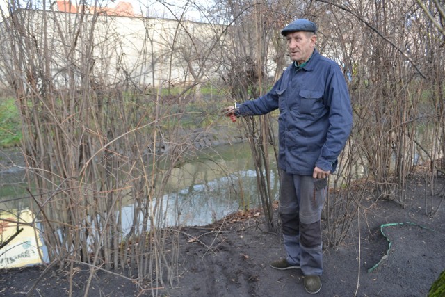 -&nbsp;Mężczyzna leżał w wodzie w tym miejscu - pokazuje Andrzej Szczepański, pracownik gospodarczy Ogrodu Botanicznego