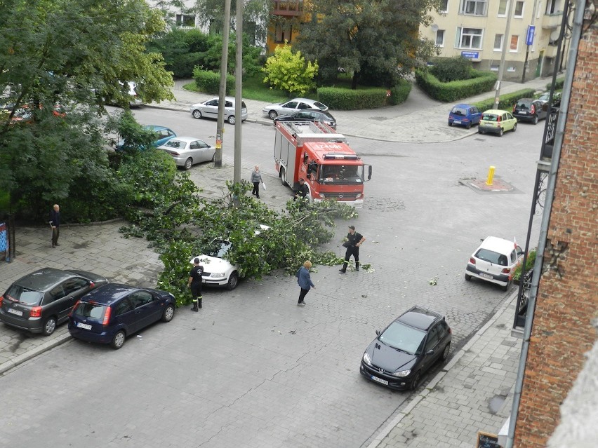 Wrocław: Drzewo spadło na samochód przy ul. Łódzkiej (ZDJĘCIA)