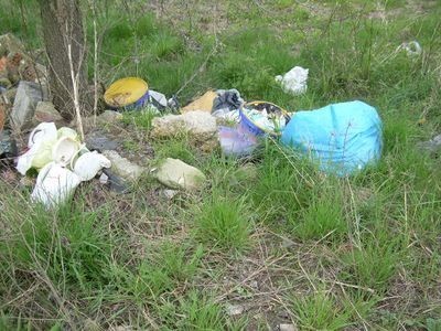 Powiat ostrowski: Śmiecił na leśnym parkingu, dostał mandat i musiał posprzątać