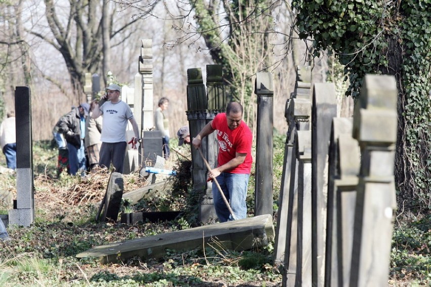 Sprzątają cmentarz żydowski w Legnicy [ZDJĘCIA]