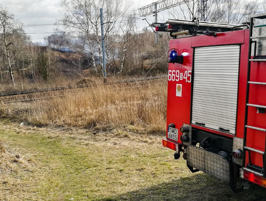 Trawy gasili m.in. strażacy OSP Biertułtowy