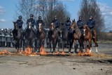 Ćwiczenia policji konnej i mundurowych z oddziału [ZDJĘCIA]