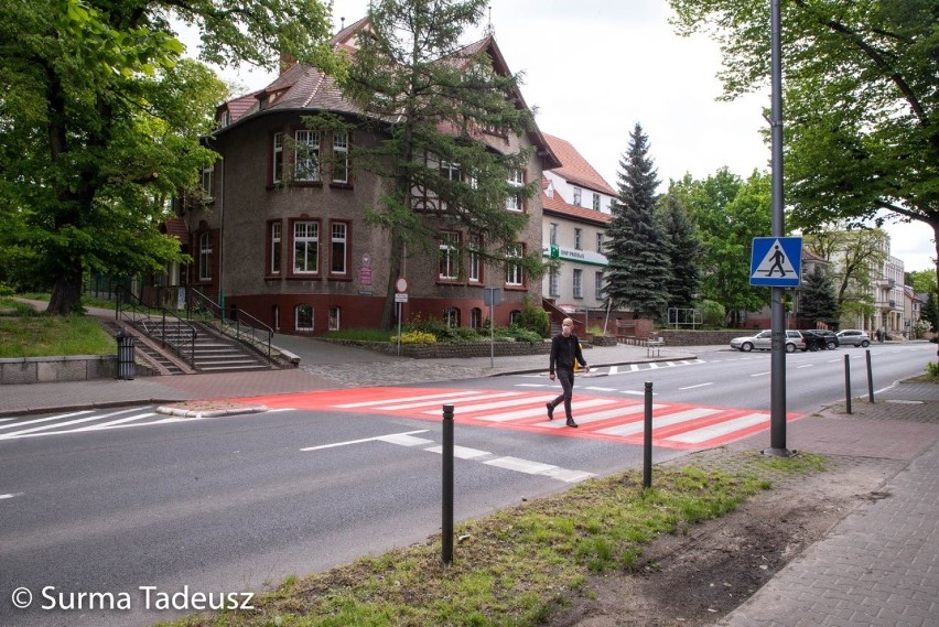 Nowo wymalowane, biało-czerwone przejścia dla pieszych w Stargardzie. Obrazki z naszego miasta w obiektywie Tadeusza Surmy