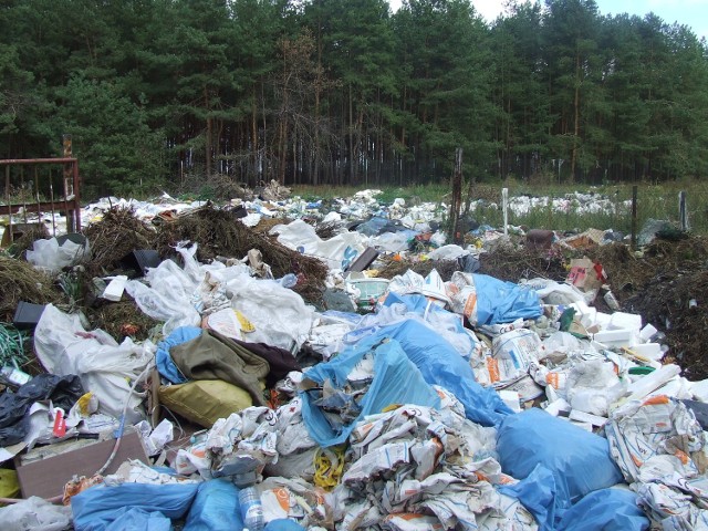 W listopadzie ma zakończyć się rekultywacja składowiska odpadów w Luszawie