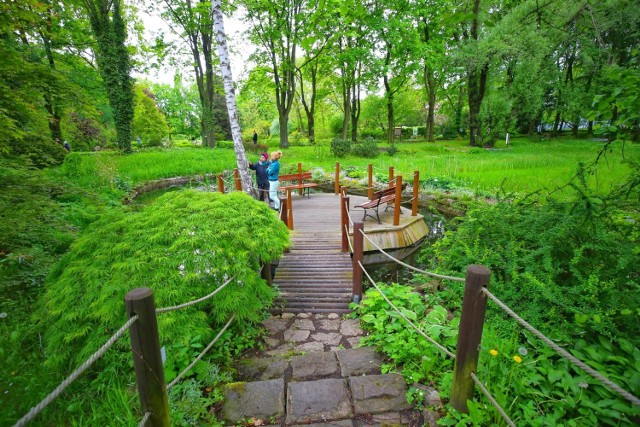 Ogórd botaniczny w Zabrzu wygląda niezwykle tajemniczo.



Zobacz kolejne zdjęcia. Przesuwaj zdjęcia w prawo - naciśnij strzałkę lub przycisk NASTĘPNE