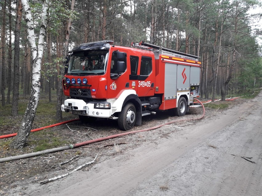 Nadleśnictwo Kalisz: Strażacy ćwiczyli na wypadek pożaru...