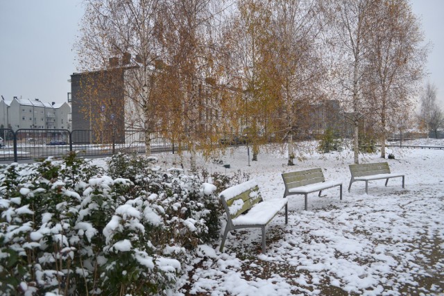 Zima w Parku Krainy Polodowcowej w Pruszczu