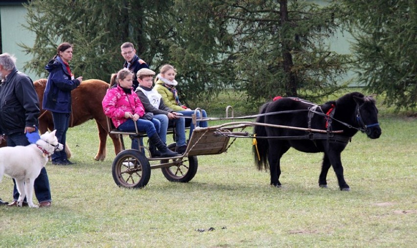 Papieski Dzień Misyjny u Duchaczy - 14 października