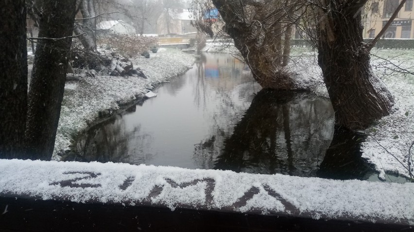3 grudnia 2020 r. - pierwszy śnieg tej zimy w Międzyrzeczu