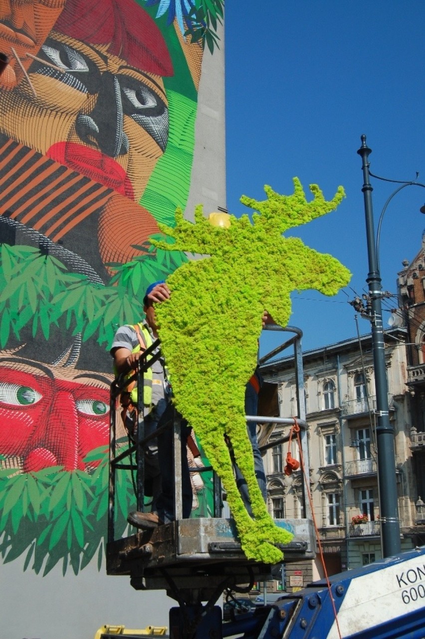 Murale z mchu są częścią akcji "Leśne ślady natury"