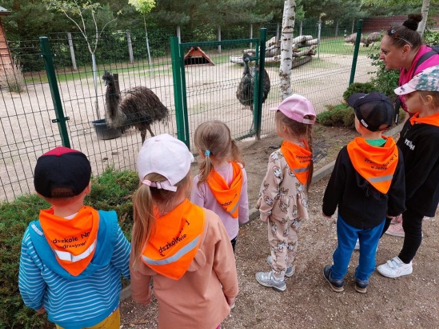 Dzieci z Przedszkola numer 1 w Jędrzejowie odwiedziły zwierzęta w zoo "Leśne Zacisze" w Lisowie.