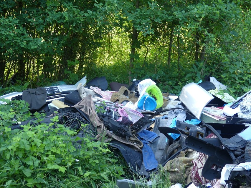 Leśnicy z Nadleśnictwa Durowo opublikowali zdjęcie sterty śmieci, którą ktoś wyrzucił do lasu... 