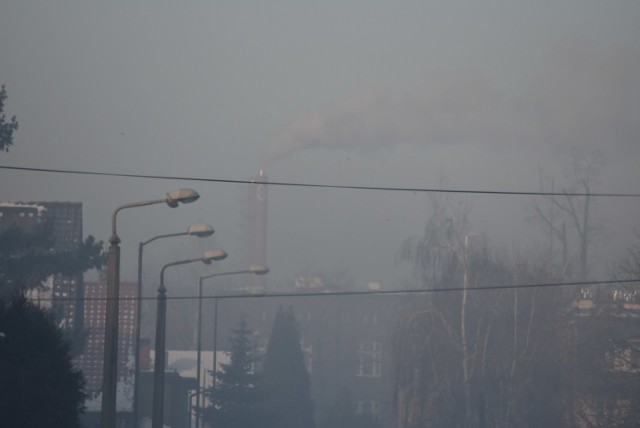 Rybnik: w mieście powstanie biuro programu Czyste Powietrze