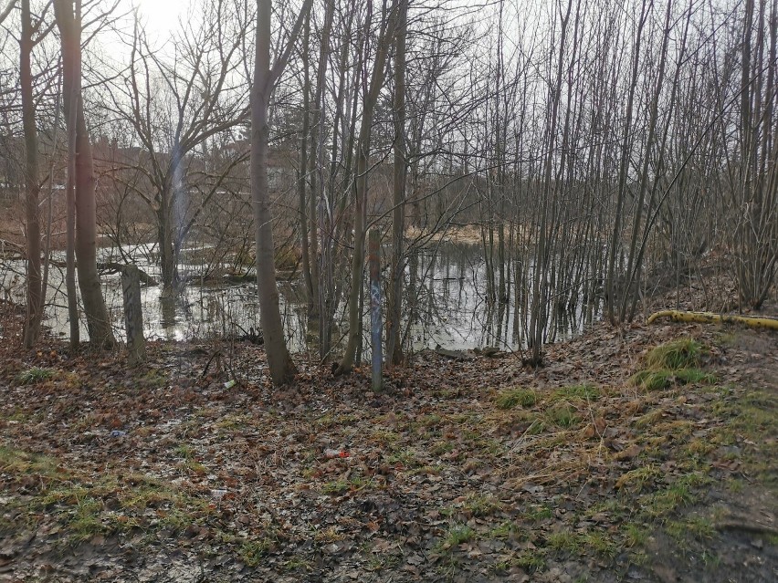 Zalane tereny przy krytej pływalni w Chrzanowie. To tylko deszcz, czy poważniejszy problem? Zobacz zdjęcia 