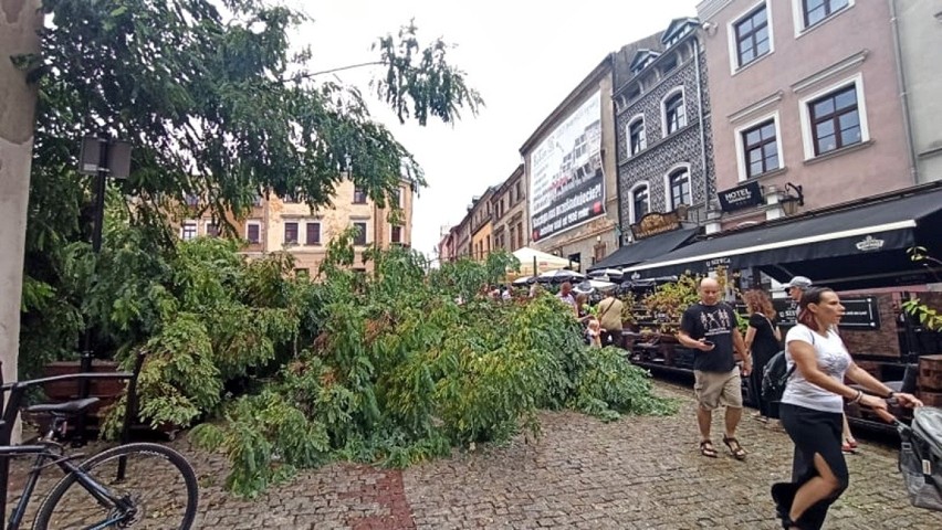 Oberwanie chmury nad Lublinem. Połamane parasole i złamane drzewo na Starym Mieście [WIDEO, ZDJĘCIA]