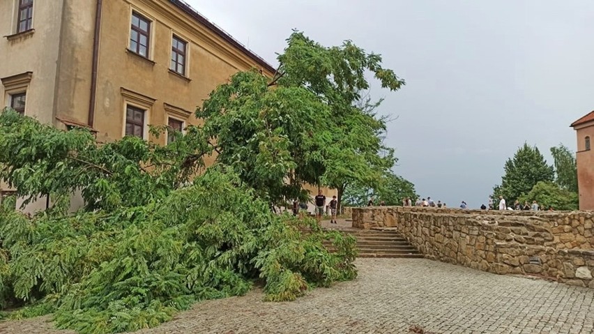 Oberwanie chmury nad Lublinem. Połamane parasole i złamane drzewo na Starym Mieście [WIDEO, ZDJĘCIA]