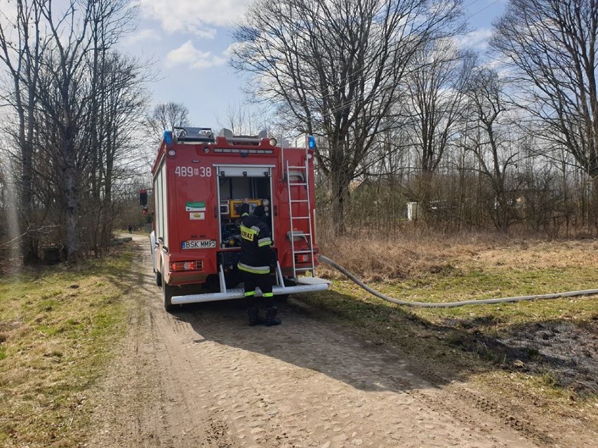 Paliła się sucha trawa pod Krynkami. Najprawdopodobniej doszło do zwarcia linii