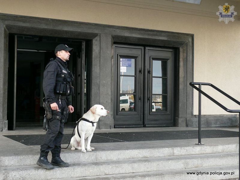 Alarm bombowy w Gdyni: Na dwocu PKP przeprowadzono ćwiczenia policyjne [ZDJĘCIA / FILM]