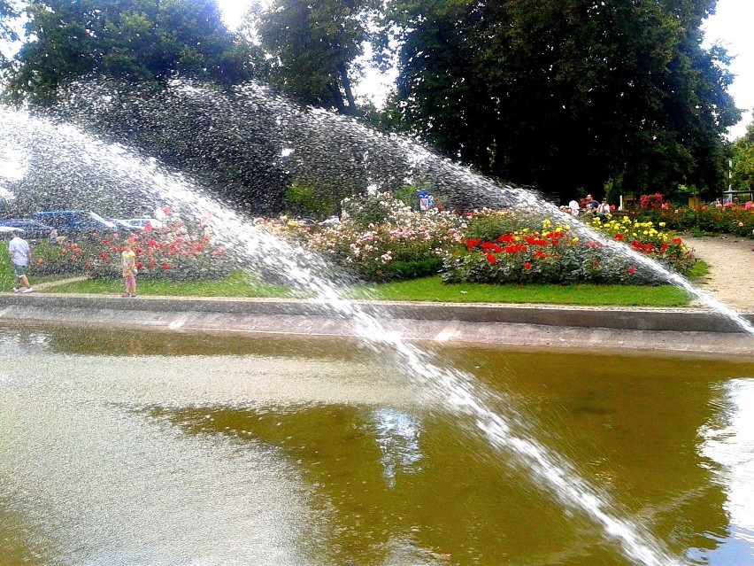 Lato fontanna przyroda i kwiaty.