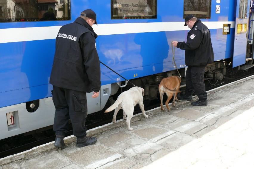 Biała Podlaska: Psy postrachem przemytników