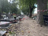 Taśmą ostrzegawczą zabezpieczono część cmentarza. Ile drzew pójdzie pod topór na cmentarzu w Lesznie?            