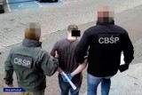 Gniezno: CBŚP zlikwidowało rodzinny seksbiznes [FOTO, FILM]