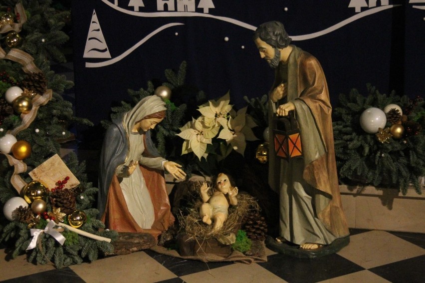 Szopki bożonarodzeniowe w Krotoszynie [ZDJĘCIA]