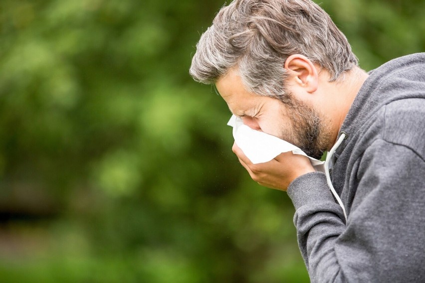 Alergicy walczą ze wzmożonym katarem, uporczywym kichaniem i...