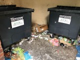 Ze śmieciami wciąż są problemy. Nawet 7 mln osób unika opłat za wywóz odpadów? Resort klimatu uspokaja