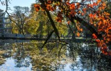 Piękna jesień w Bydgoszczy na zdjęciach [galeria]
