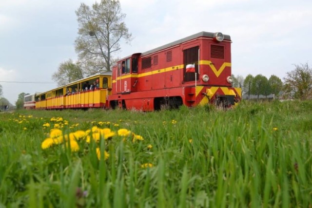 Żuławy i Mierzeja. Jak co roku, Pomorskie Towarzystwo Miłośników Kolei Żelaznych rozpoczyna sezon turystyczny Żuławskiej Kolei Dojazdowej od kursów w długi weekend majowy.