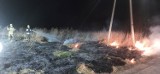 Już płoną trawy w powiecie malborskim. Ci, którzy podpalają, dostarczają strażakom niepotrzebnej pracy