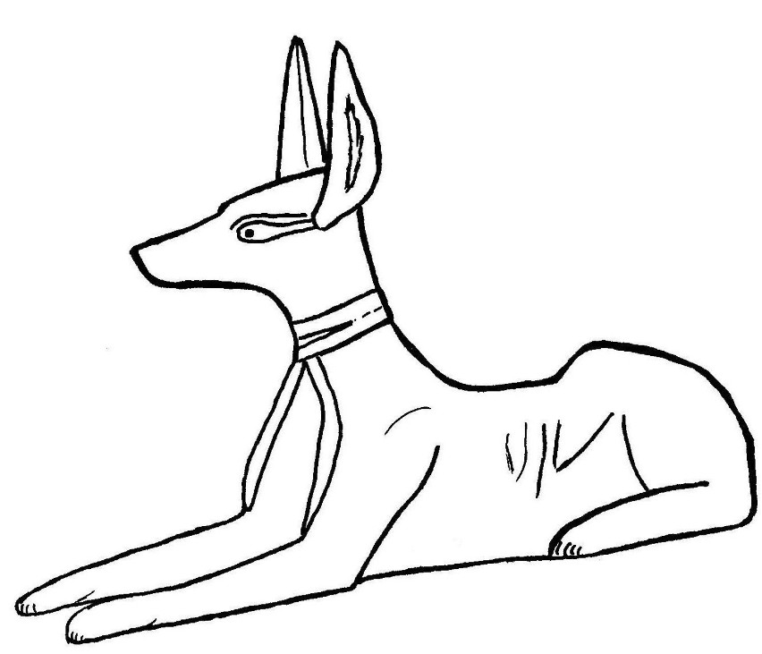 Anubis