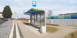 Nieużywana wiata przystankowa w Szczecinie przyda się gdzieś indziej? Miasto szuka nowego miejsca
