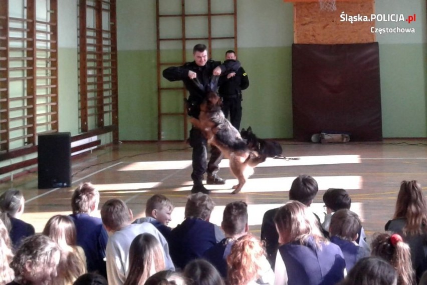 Policyjne psy Sara i Rambo odwiedziły szkołę 