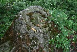 Zielonogórskie ciekawostki (4) - kamień z ludzką twarzą
