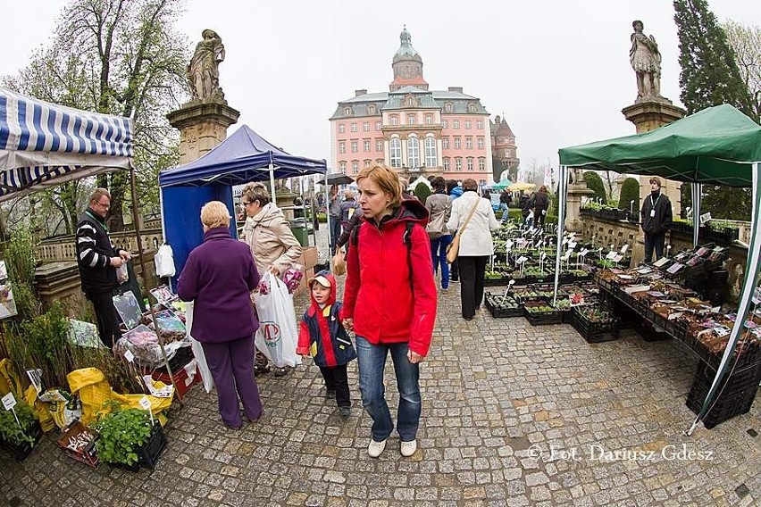 Trwa 25. Festiwal Kwiatów i Sztuki - pierwszy dzień (FOTO)