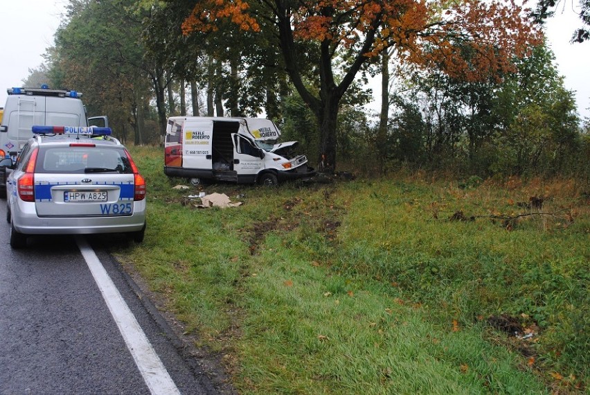 Busem w drzewo. Policja szuka świadków wypadku w Krąpielu