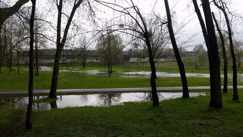 Kłobuck: Biała Oksza podtopiła park przy Zielonej [FOTO, WIDEO]