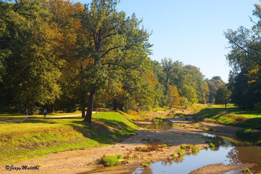 Park Mużakowski jesienią. Musisz się tam wybrać, pogoda sprzyja