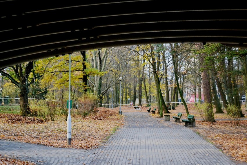 Ogrodzenia znajdują się w centralnej części parku.