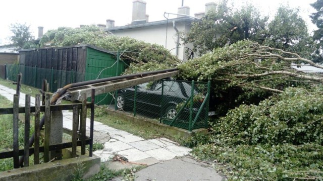 W wielu miejscach powalone są linie wysokiego napięcia. Sytuacja dotyczy Gniezna i powiatu gnieźnieńskiego.